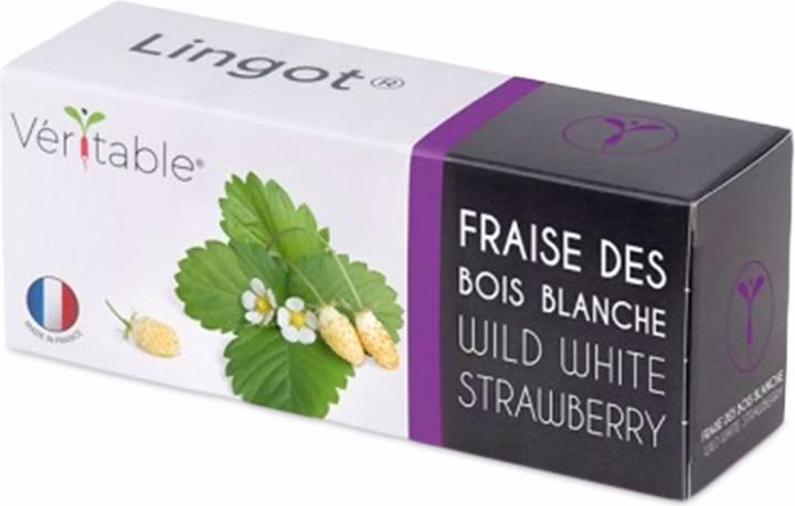 Image du produit Véritable Lingot fraise des bois blanche BIO (Graines de fruits)