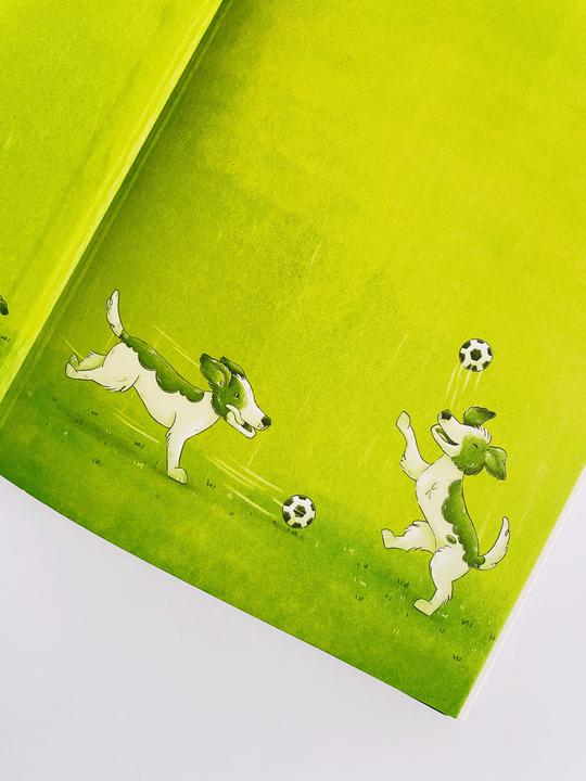 Actual product image Der beste Fussballer aller Zeiten oder: Die Wahrheit ist nichts für Feiglinge (German, Katja Alves, 2024)
