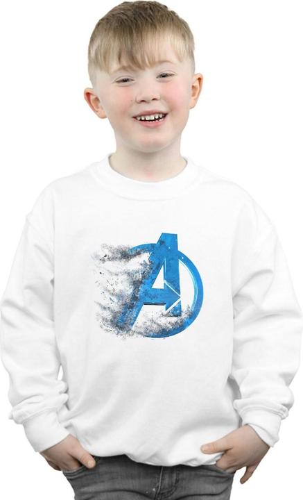 Produktbild Avengers Endgame Sweatshirt mit verstaubtem Logo Jungen (140, 146)