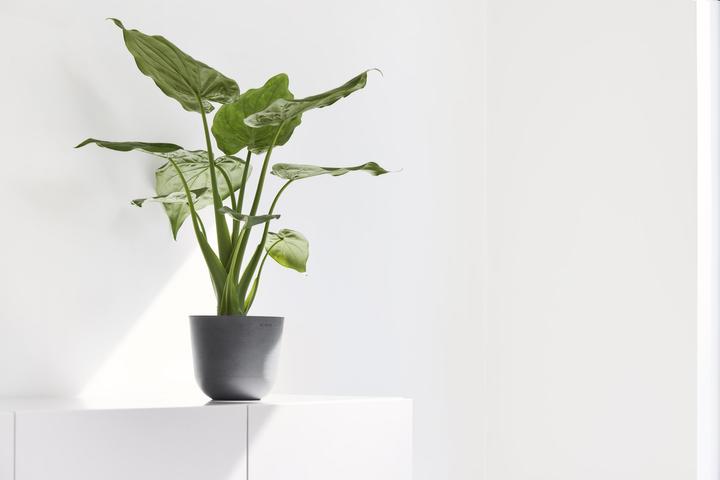 Produktbild Ecopots Oslo Mini (19 cm)