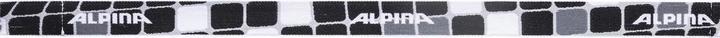 Actual product image ALPINA SPORTS Carvy 2.0
