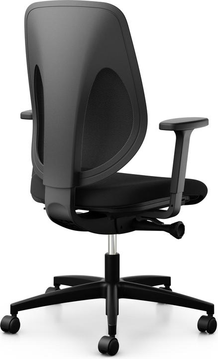 Actual product image Giroflex Xtreme