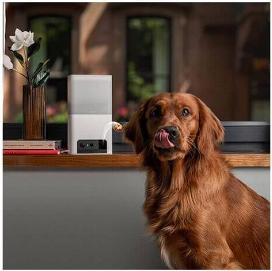 Image du produit Petcube Caméra pour animaux domestiques avec distribution de friandises (1 l)