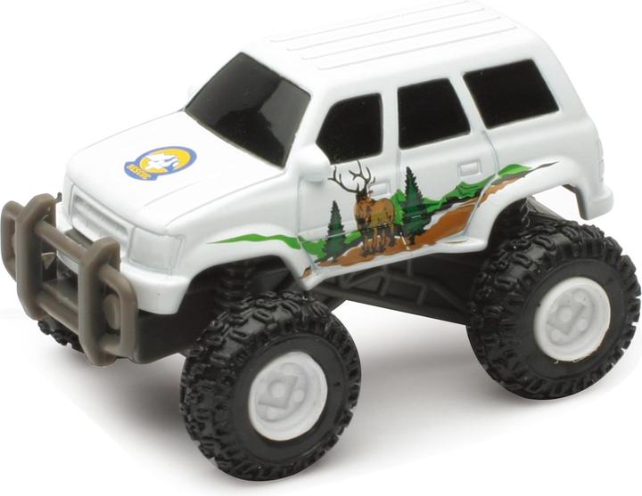 Actual product image New Ray MiniVehicles ass Displ