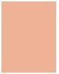 Produktbild Maybelline New York Face Studio City (250 Medium Warm, Bronzer, 8 g)