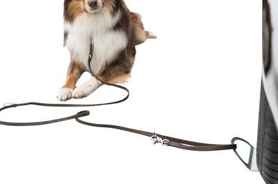 Immagine prodotto Trixie Piastra per il guinzaglio (Cane, Generale)