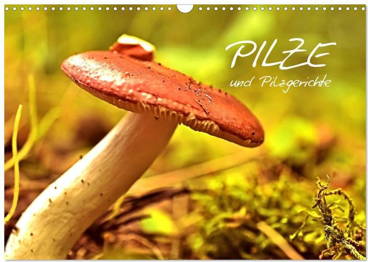 Image du produit Pilze und Pilzgerichte (Wandkalender 2025 DIN A3 quer), Monatskalender (A3, Allemand)