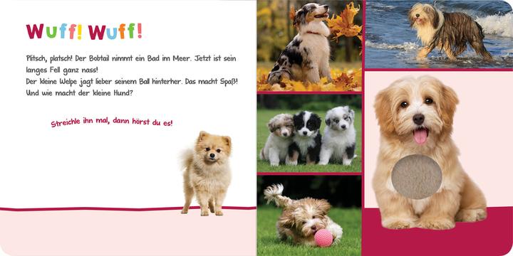 Produktbild Hör mal rein, wer kann das sein? - Kuschelige Tiere (Deutsch)