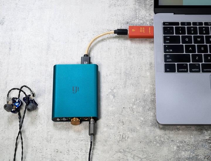 Actual product image iFi Audio iDefender+ USB C – USB A (Audio Converter)