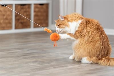 Actual product image Trixie Chicken on rubber band with catnip (Plush toy cat)