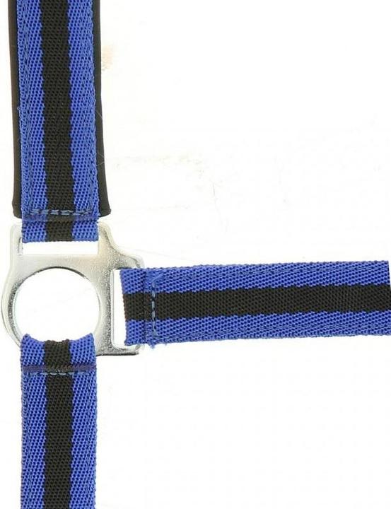 Actual product image Norton Nylon Neopren Halfter