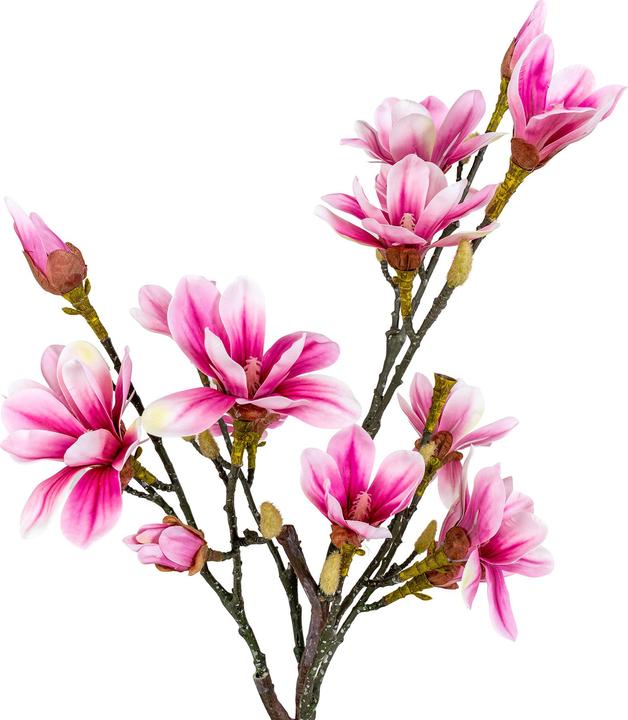 Immagine prodotto House Nordic Magnolia (75 cm)