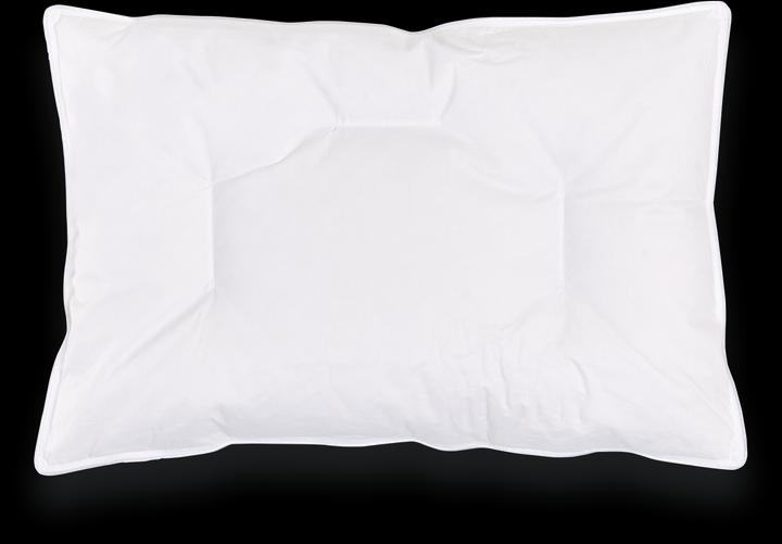 Image du produit Träumeland Rêve de duvet (40 x 60 cm)