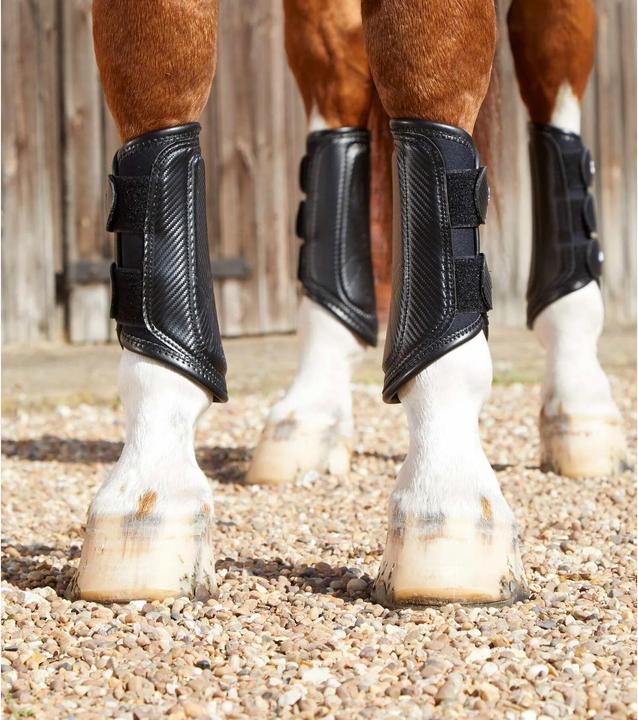 Immagine prodotto Premier Equine Air-Tech