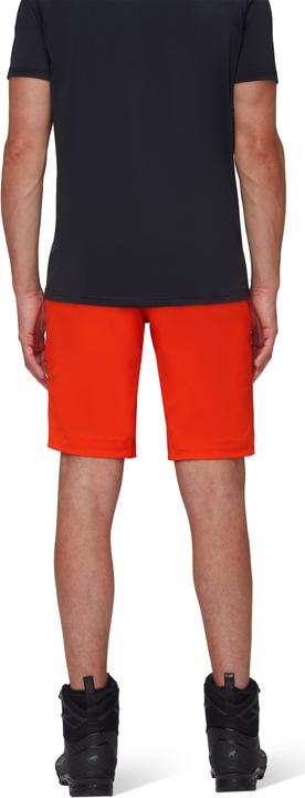 Actual product image Mammut Taiss SO Shorts Men (44)