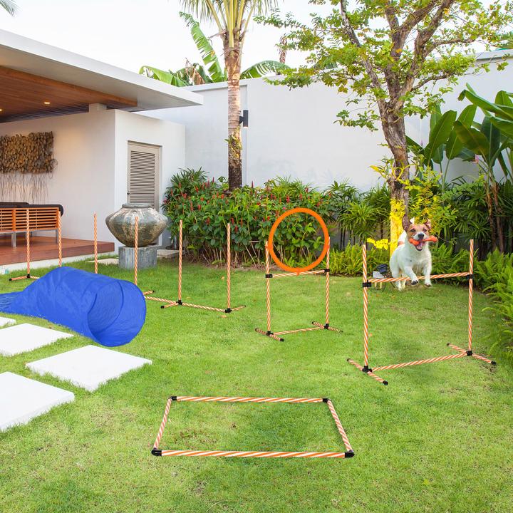 Actual product image PawHut Set (Agility)