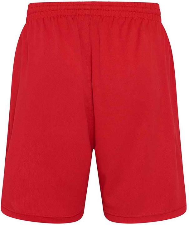 Actual product image Awdis Mens Shorts (L)