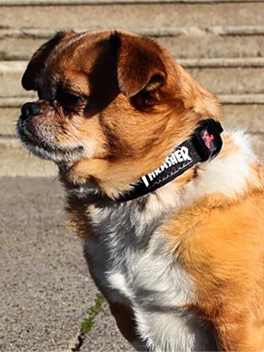 Actual product image Thrasher Dog Collar (small)