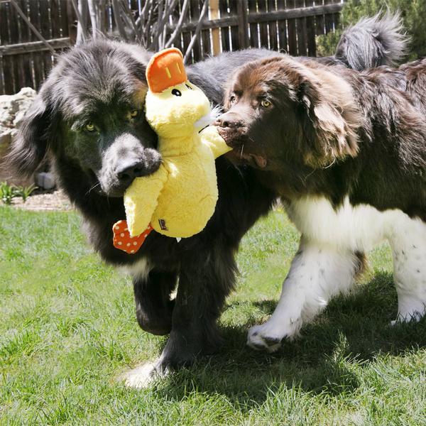 Image du produit KONG Comfort Jumbo (Jouet en peluche chien)
