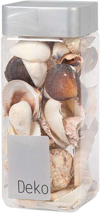 Image du produit Do it + Garden Coquillages
