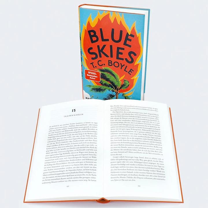 Actual product image Blue Skies (German, T.C. Boyle., Dirk van Gunsteren, 2023)