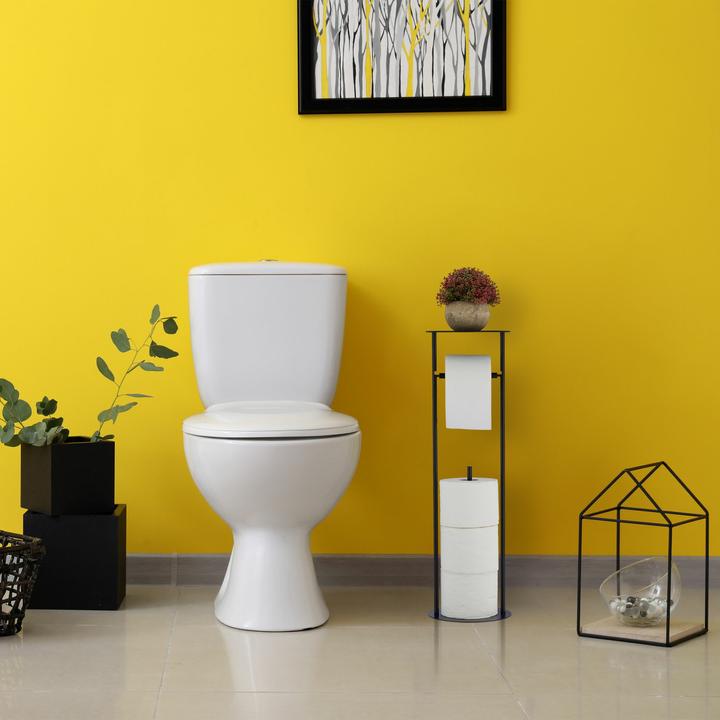 Immagine prodotto Relaxdays Cancelletto sicurezza camino (300 x 1,5 x 76 cm)