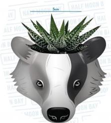 Produktbild Harry Potter: Hufflepuff Plant Pot