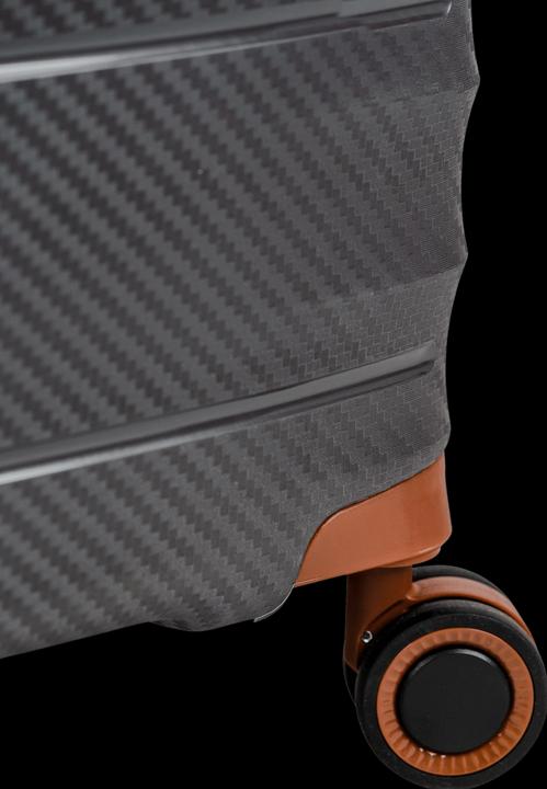 Actual product image Swissbags Prestige (105 l, L (90 - 115l))