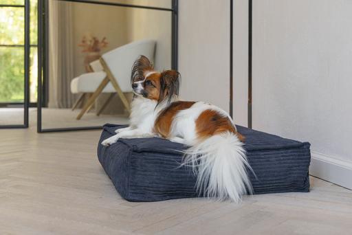 Image du produit Designed by Lotte Ribbed (Chien)