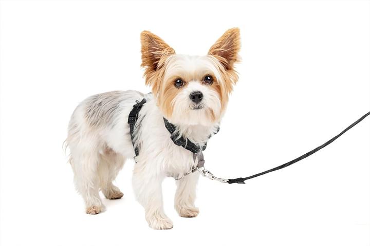 Produktbild PetSafe 3-in-1-Geschirr und Rückhaltegurt (S, Hund, Allgemein)