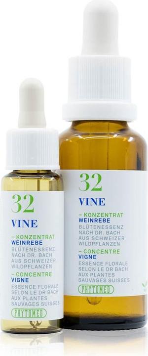 Actual product image Phytomed Bachblüten No32 Weinrebe (1 Piece, Liquid, 22 g)