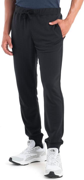 Icebreaker Shifter II Pants (M)