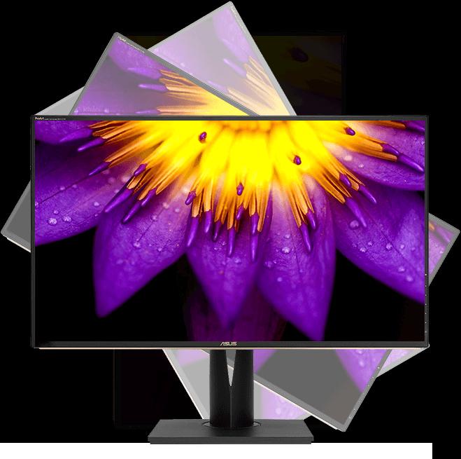 Produktbild ASUS ProArt PA329C 81,28 cm (16:9) UHD HDMI DP (3840 x 2160 Pixel, 32")