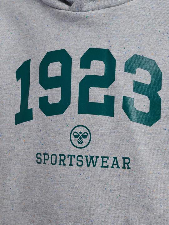 Image du produit hummel hmlNIPPS HOODIE (110)