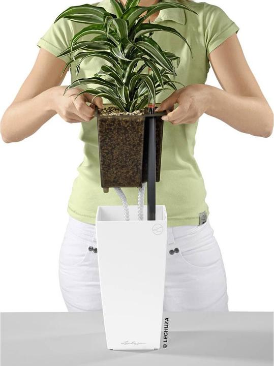 Actual product image Lechuza Mini Cubi (9.50 cm)