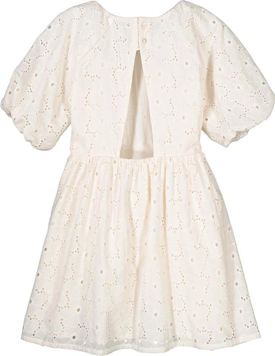 Actual product image La Redoute Collections Festive dress with short sleeves (94)