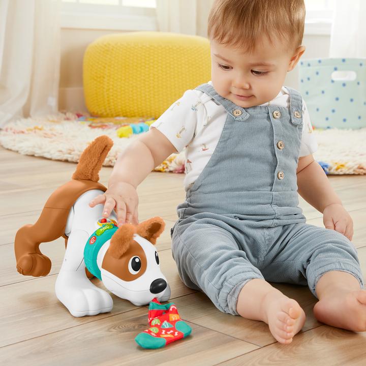 Produktbild Fisher-Price - 123 Crawl With Me Puppy-DU