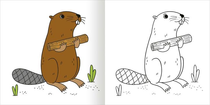 Actual product image My colourful autumn colouring book