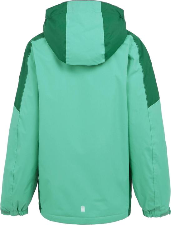 Actual product image Regatta Childrens/Kids Hurdle V Waterproof Jacket (164)