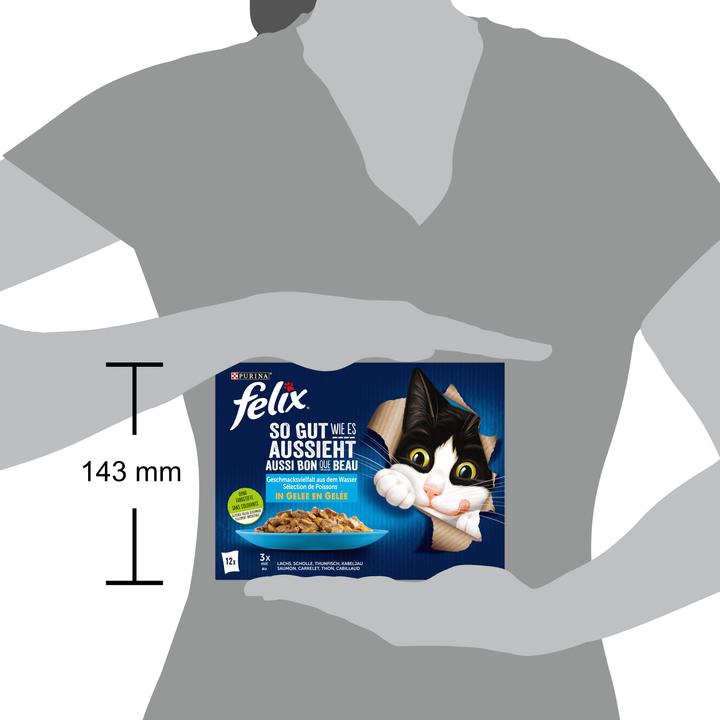 Produktbild Felix Agail Fisch (Adult, 11 Stk., 1020 g)