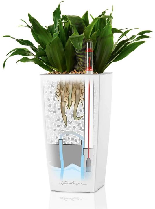 Actual product image Lechuza Mini Cubi (9.50 cm)