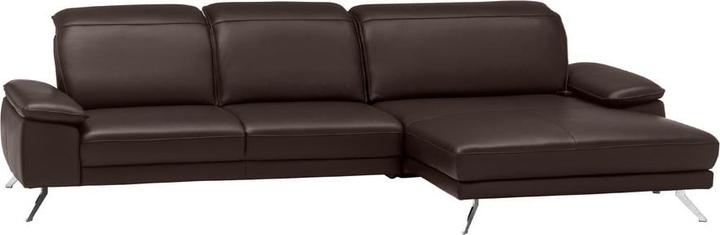 Cat. 160, La Tempra chestnut