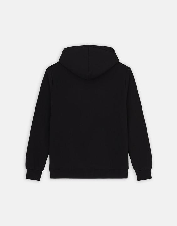 Image du produit Dickies Sweat à capuche Icon Logo (L)