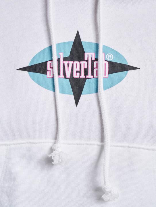 Actual product image Levis Graphic Laundry Hoodie - 96013 (S)