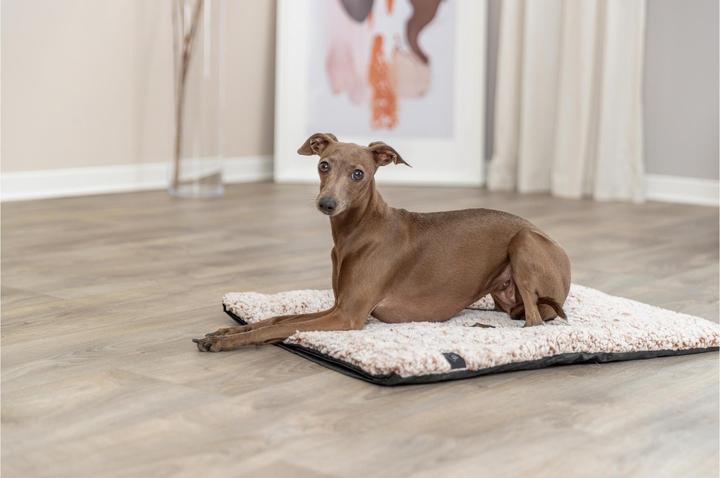 Image du produit Trixie Hunde-Liegematte Calida 80 cm x 55 cm (Chien)