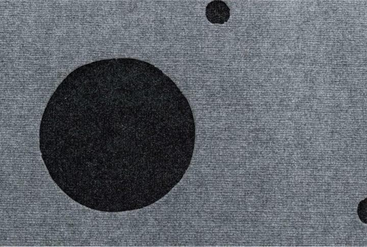 Actual product image Trixie Adventure Carpet