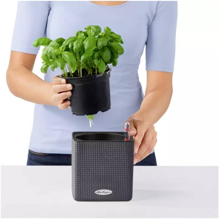 Actual product image Lechuza cube (14 cm)