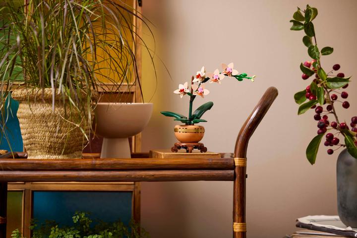 Image du produit LEGO Mini-Orchidee (10343, LEGO Botanical)