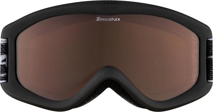 Actual product image ALPINA SPORTS Carvy 2.0