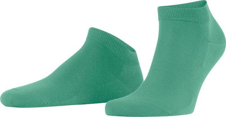 Image du produit Falke ClimaWool Hommes (41 - 42)